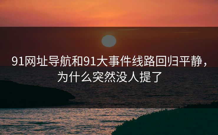 91网址导航和91大事件线路回归平静，为什么突然没人提了