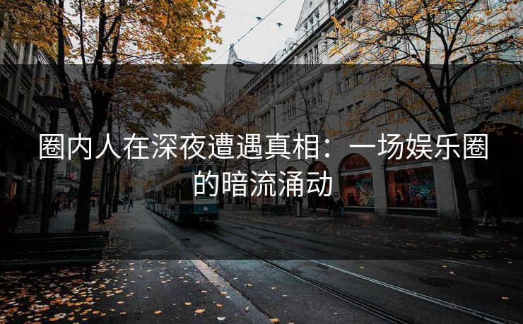圈内人在深夜遭遇真相：一场娱乐圈的暗流涌动