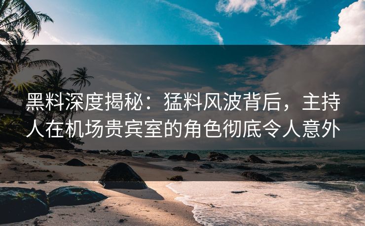 黑料深度揭秘：猛料风波背后，主持人在机场贵宾室的角色彻底令人意外