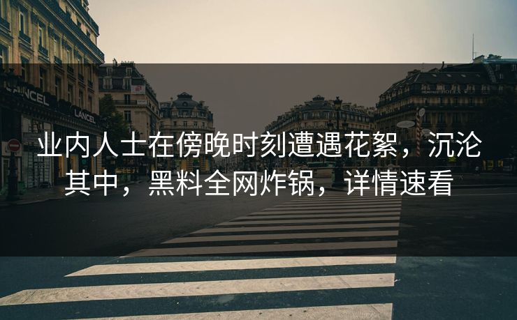 业内人士在傍晚时刻遭遇花絮,沉沦其中,黑料全网炸锅,详情速看