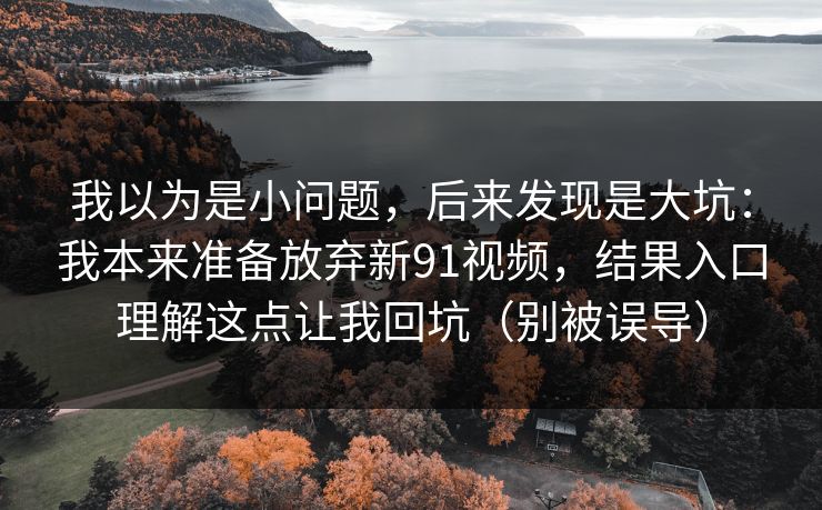 我以为是小问题，后来发现是大坑：我本来准备放弃新91视频，结果入口理解这点让我回坑（别被误导）